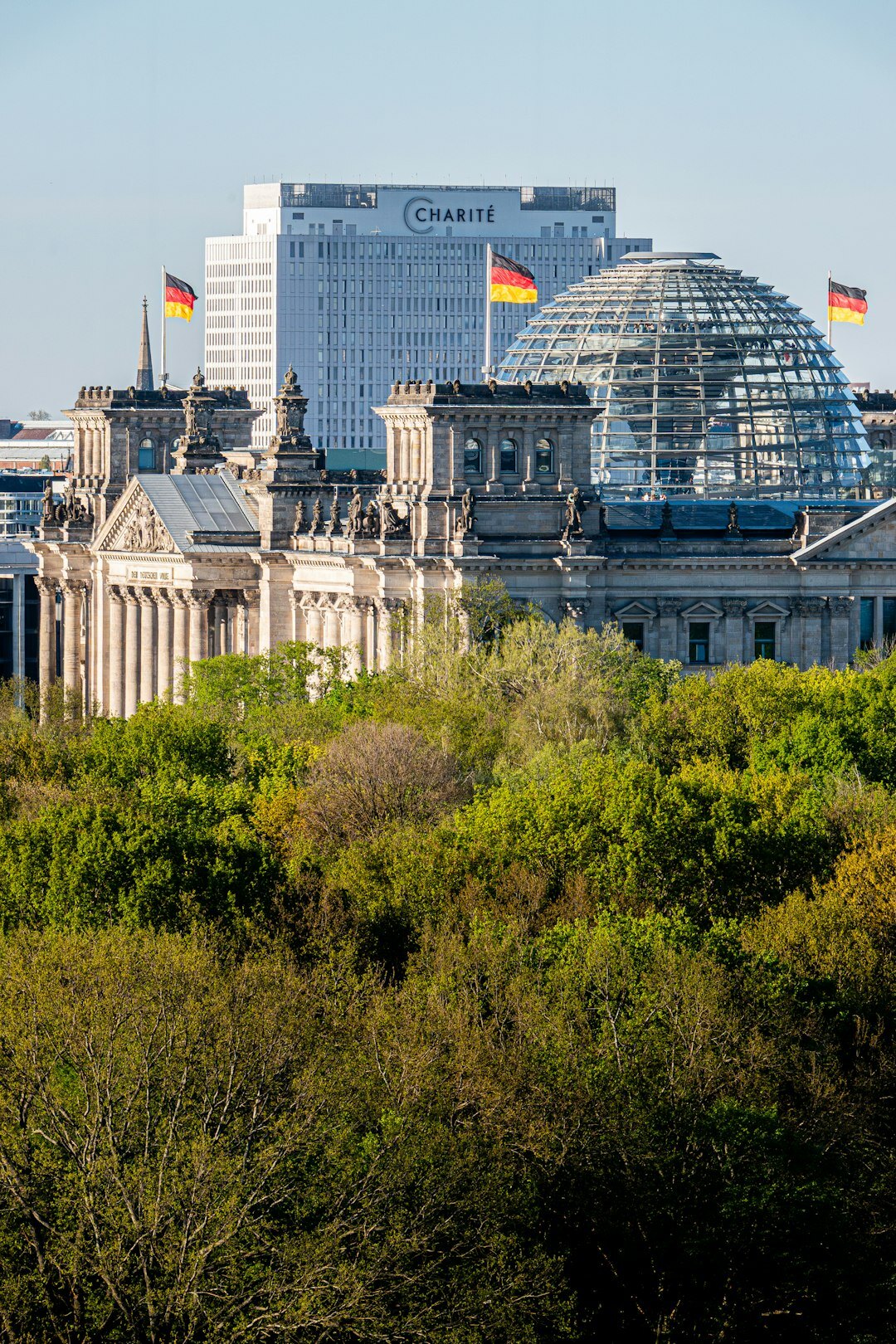 german parliament debate